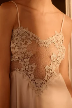 Lace Chemise -Fashion Clothing Shop 66537945 014 b3