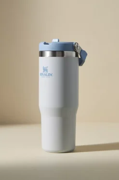 Stanley 30 Oz. IceFlow Flip Straw Tumbler
